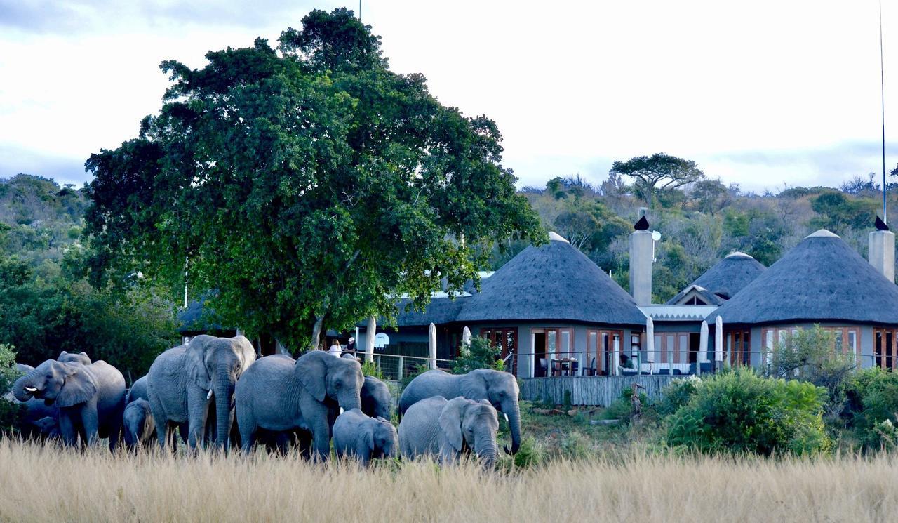 Nambiti Plains Villa Ladysmith Exterior photo